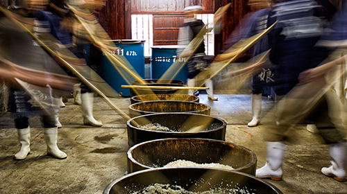  A fotografia na gastronomia