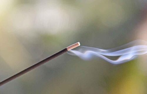  Incensos, Madeiras e Odores Japoneses
