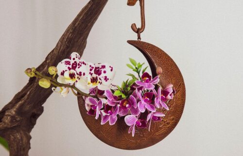  A Ikebana nos Dias de Hoje