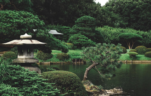 Conceptos Japoneses: Wa