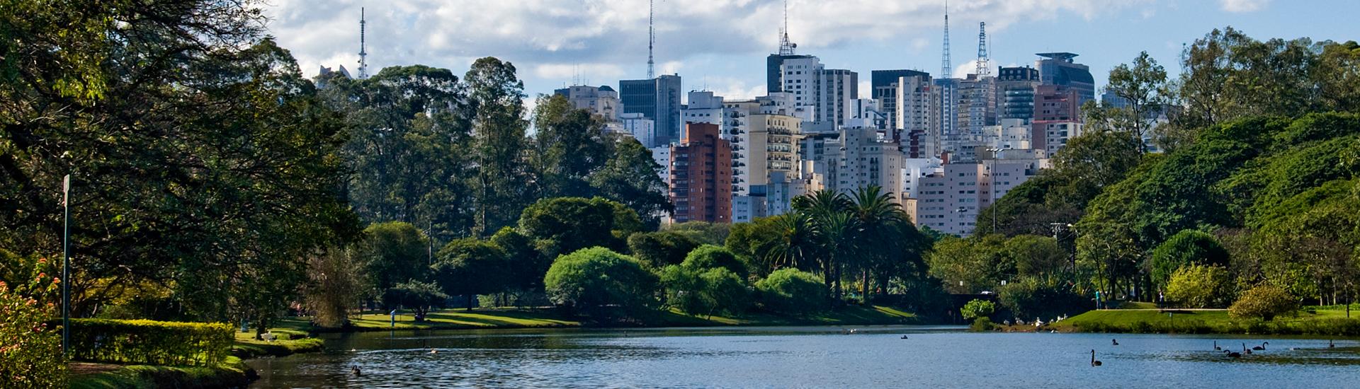 Oficina Composição com as Paisagens Naturais de São Paulo