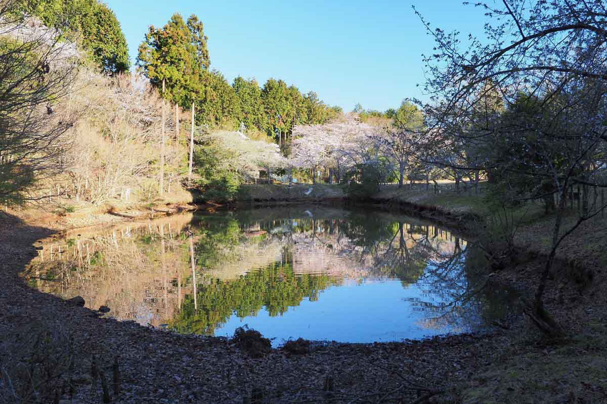 Cidade de Fuji, em Shizuoka