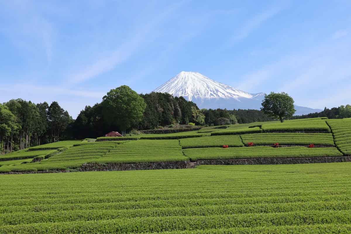 Cidade de Fuji, em Shizuoka
