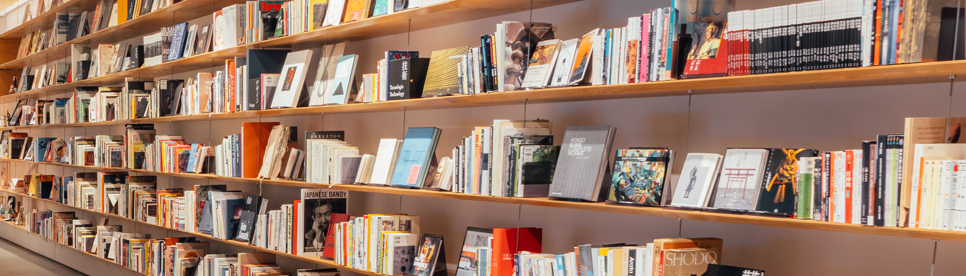 Reabertura da Biblioteca