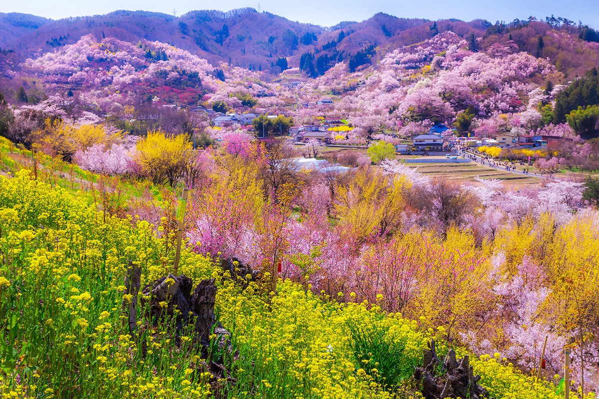 Província de Fukushima