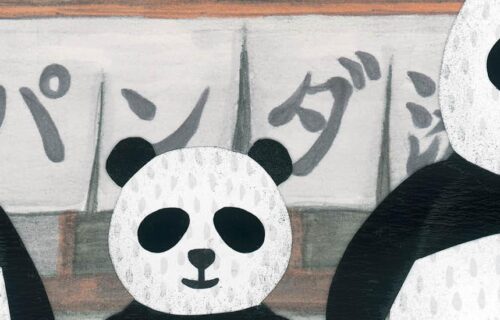  Contação da História Infantil ‘Balneário Panda’