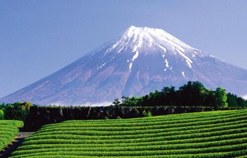  Intercâmbio cultural | Província de Shizuoka