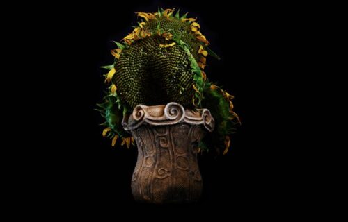  A arte da Ikebana: seu passado e presente