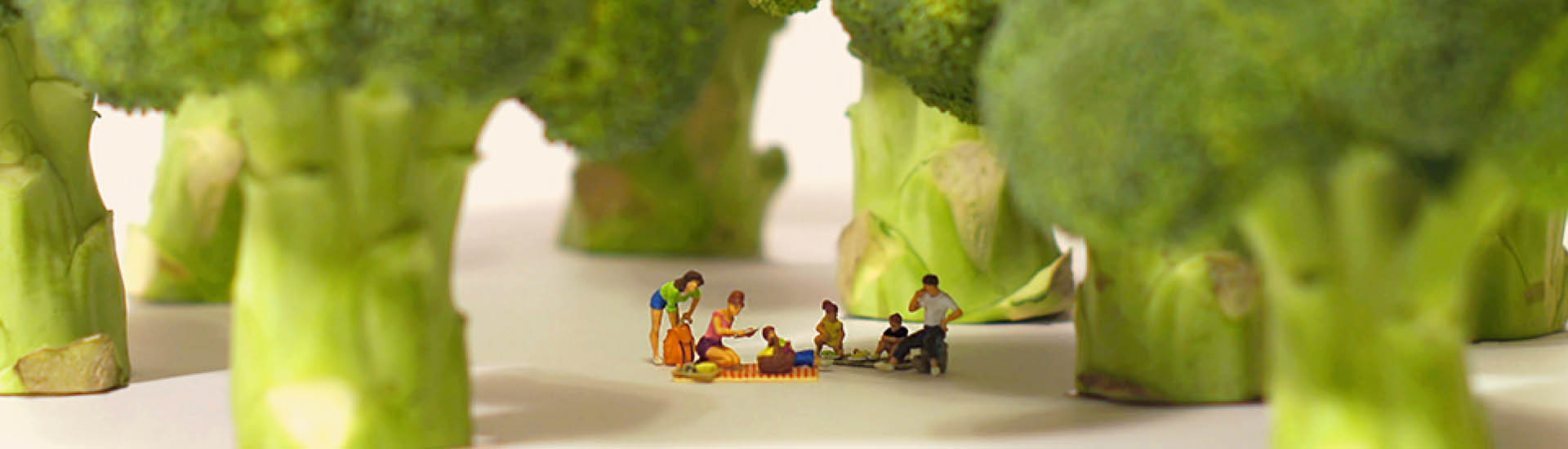 Prorrogação da exposição de miniaturas
