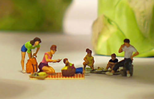  Prorrogação da exposição de miniaturas