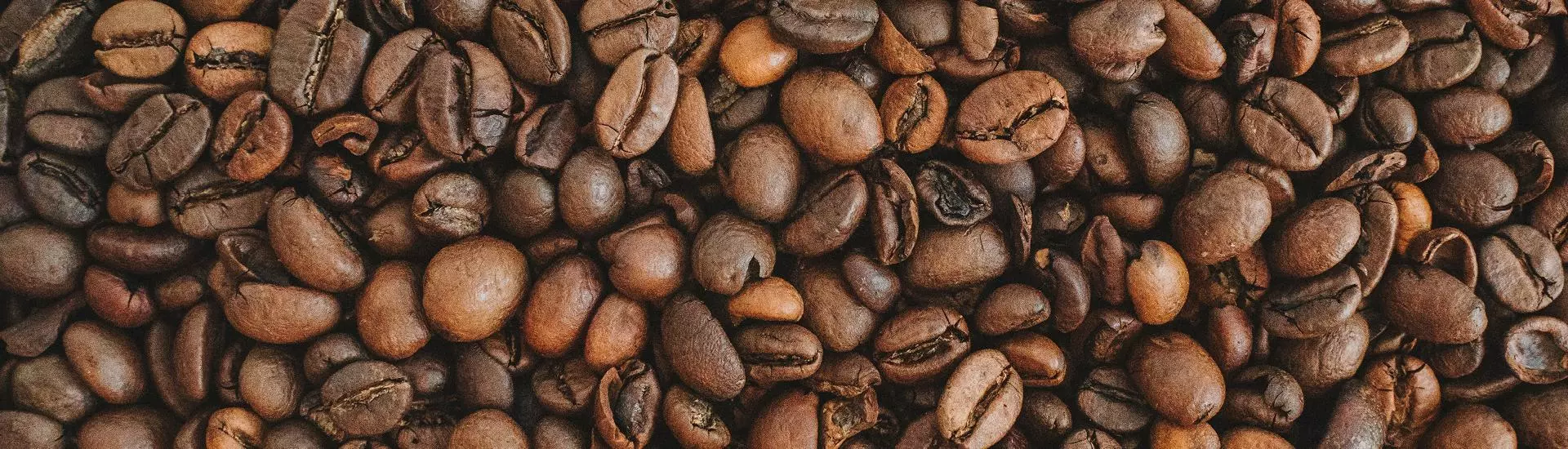 Brasil e Japão: unidos pelo café