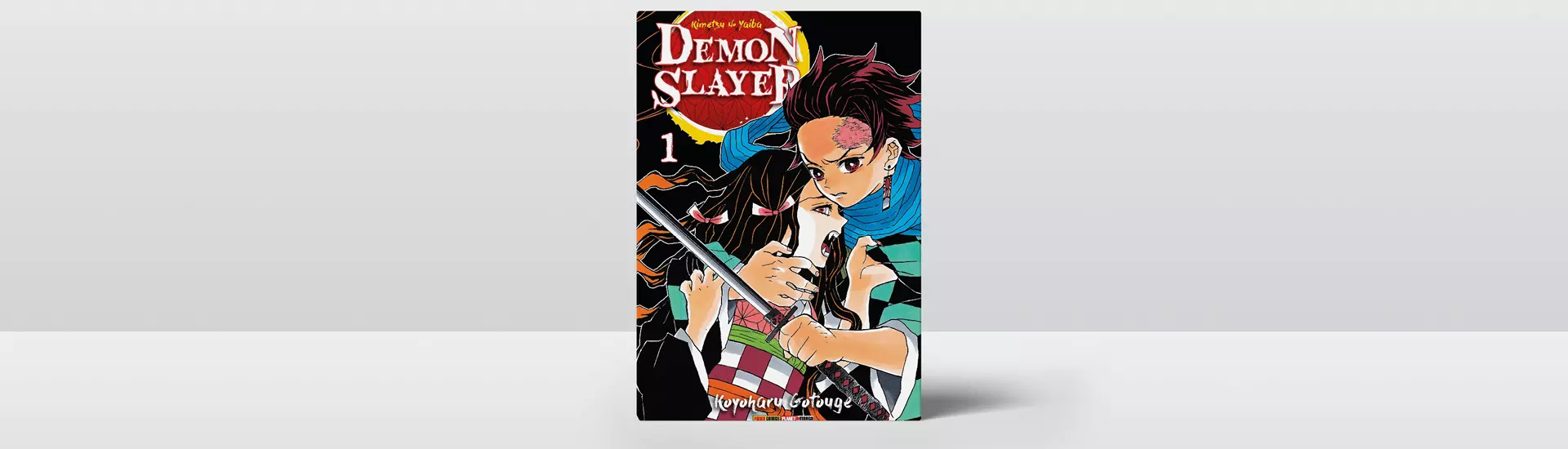 Ciclo de Mangá // Demon Slayer