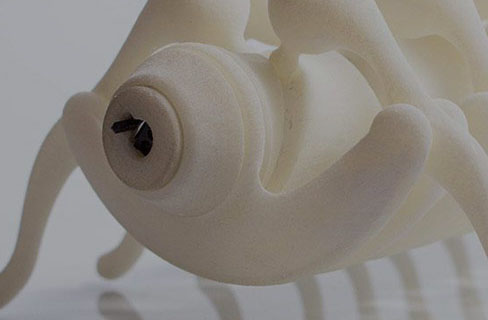  Prototyping in Tokio: Shunji Yamanaka