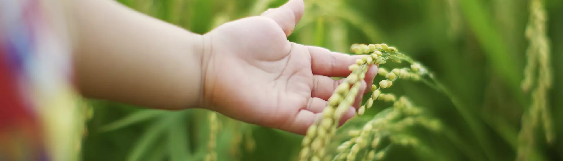 Oficina infantil // Gincana do Arroz