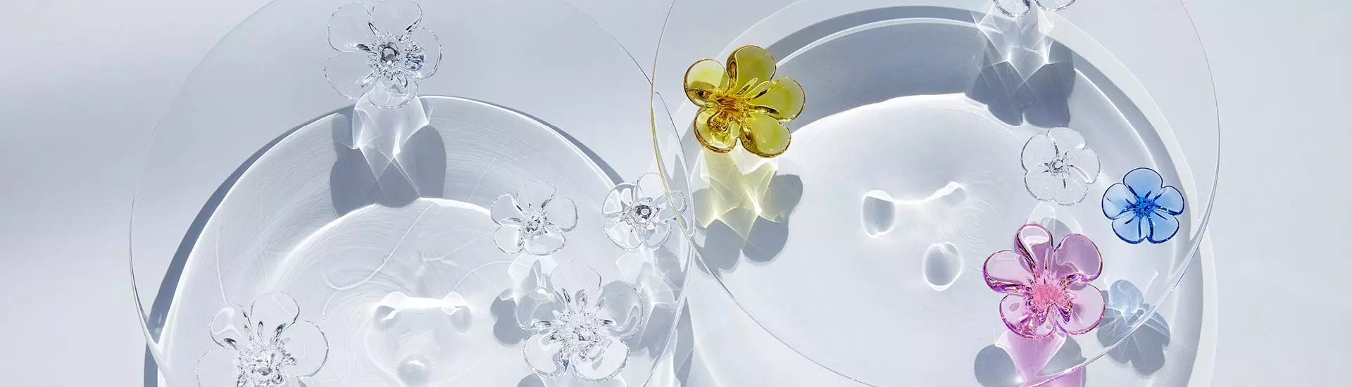 Edo Glass