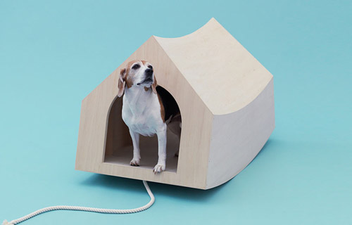  Arquitetura para cães