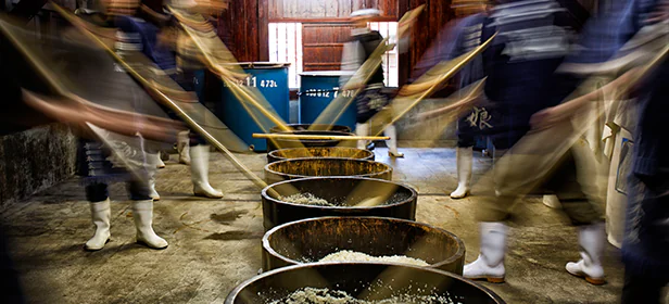 A fotografia na gastronomia