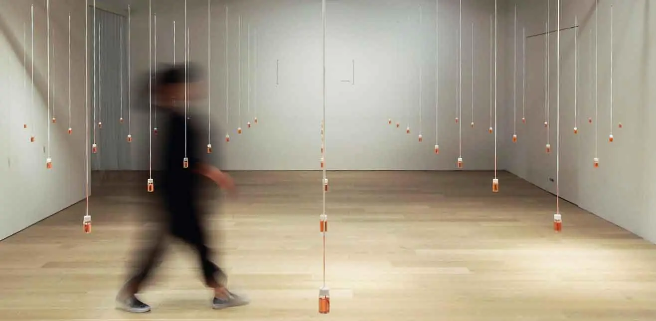 ARTE OLFATÓRIA COM MAKI UEDA