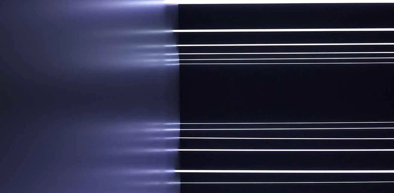 次元 Dimensão // Visitas Guiadas e Experiências Sensoriais
