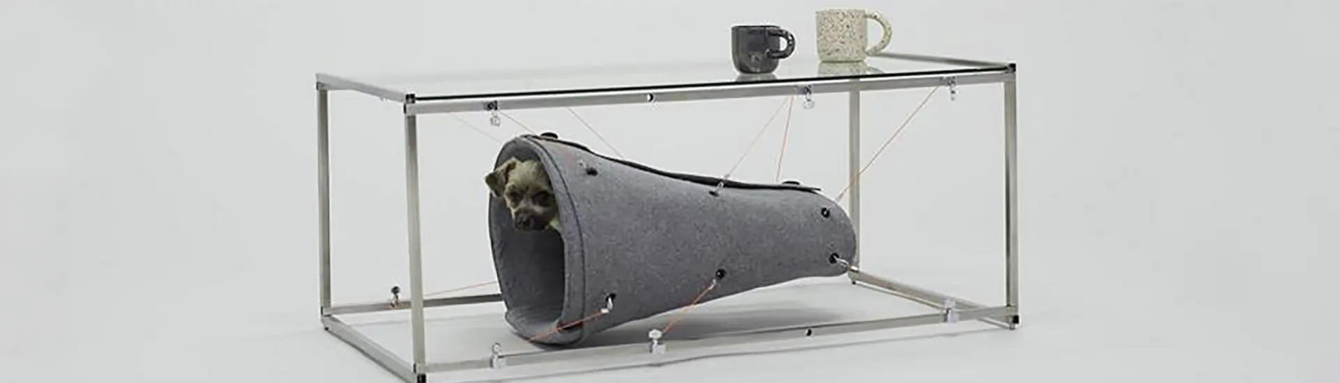 Conheça os jurados do edital “Novos Olhares, Novas Escalas: Seu Design Para Casas de Cães”