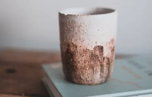 Conceptos Japoneses: Wabi Sabi