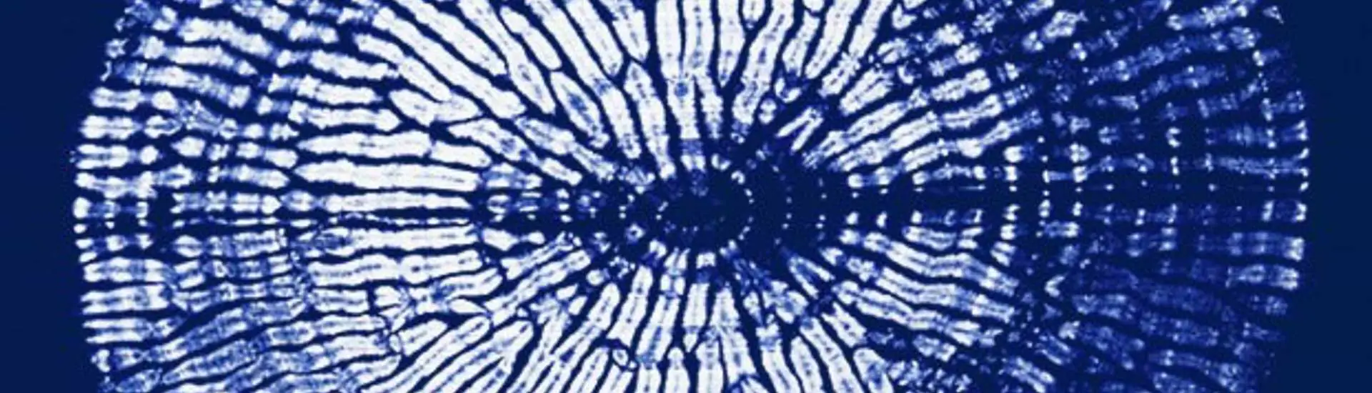 Arimatsu Shibori: Conheça esta Técnica de Tingimento