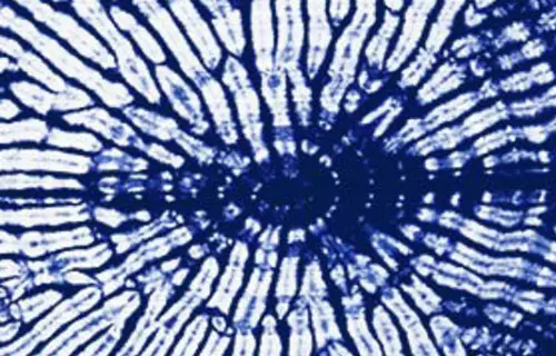  Arimatsu Shibori: Conheça esta Técnica de Tingimento