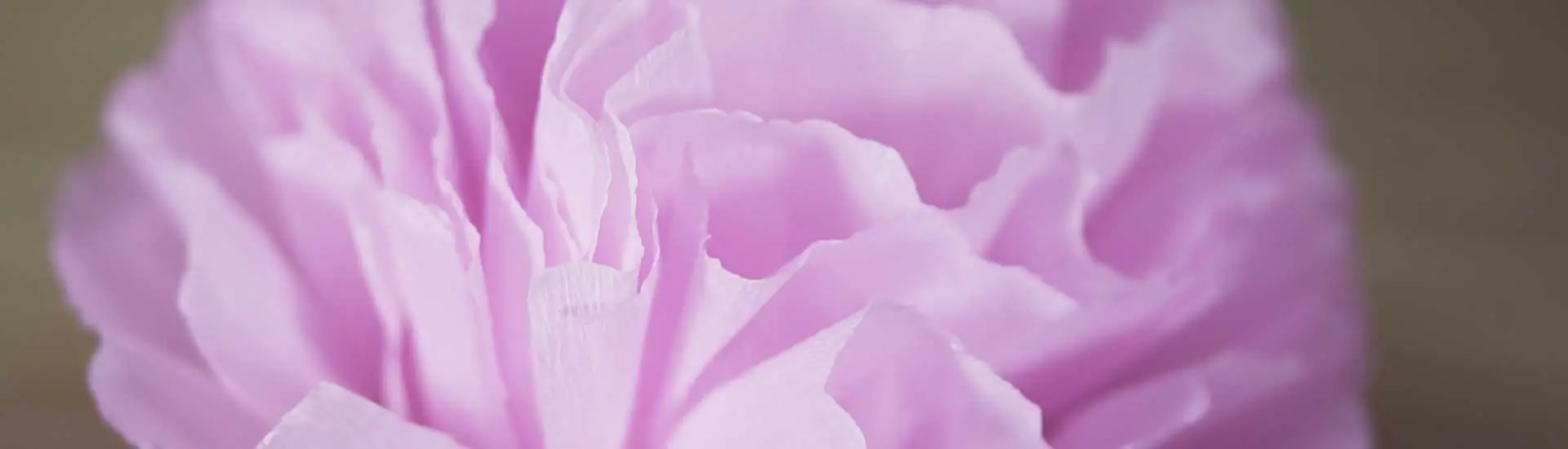 Flores de Papel Inspiradas nas Obras do Estilista Tomo Koizumi
