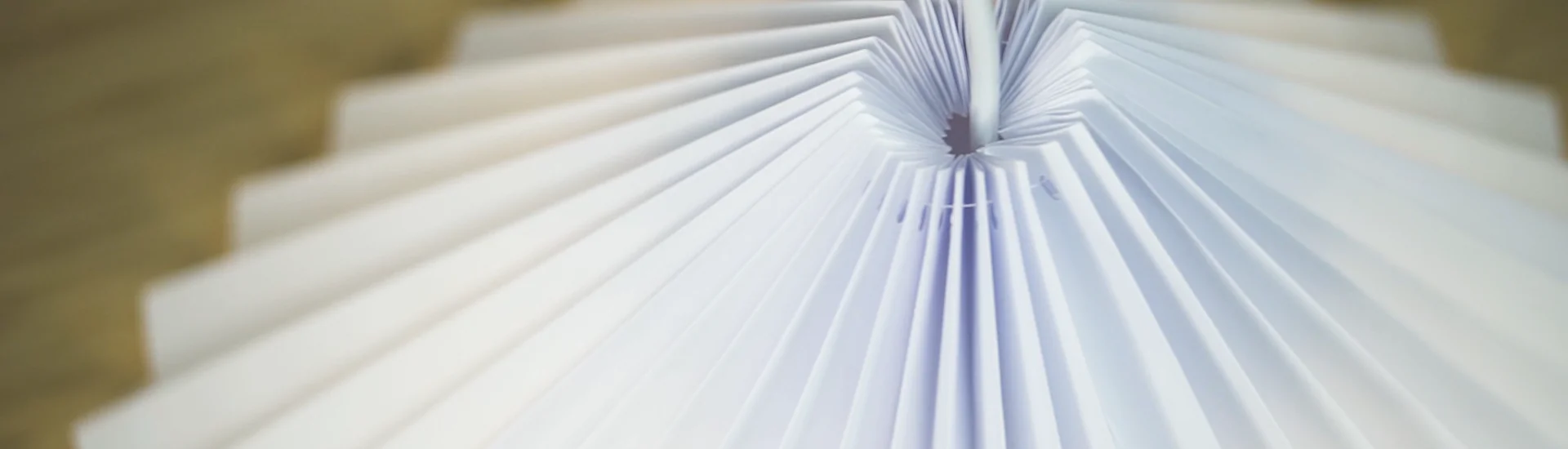 Criando uma Luminária de Papel com Mel Kawahara