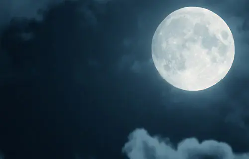  Tsukimi: O Dia Escolhido para Contemplar a Lua Cheia no Japão