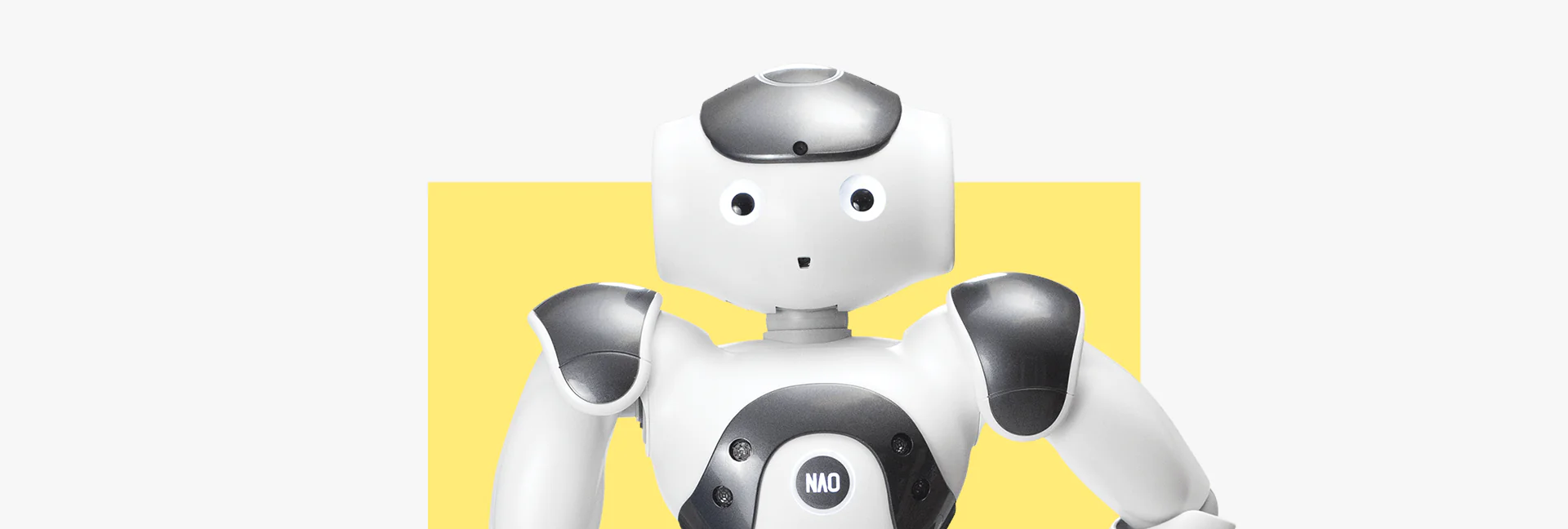 How Robots are Helping to Transform the Japanese Educational Sector