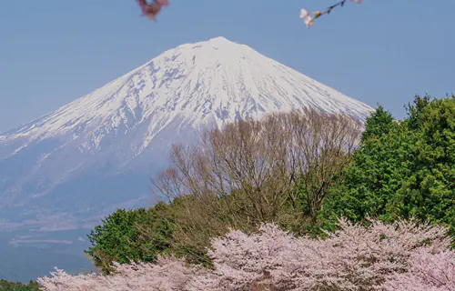  1 de abril: Nuevos Ciclos en Japón