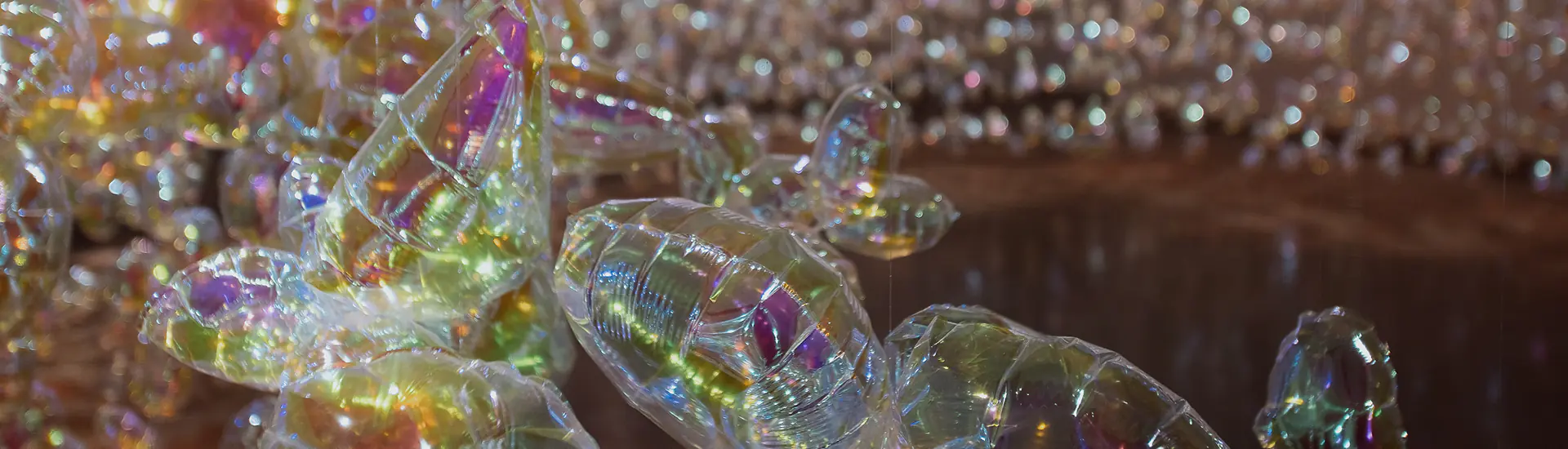 A História e o Processo Criativo de Daisy Balloon