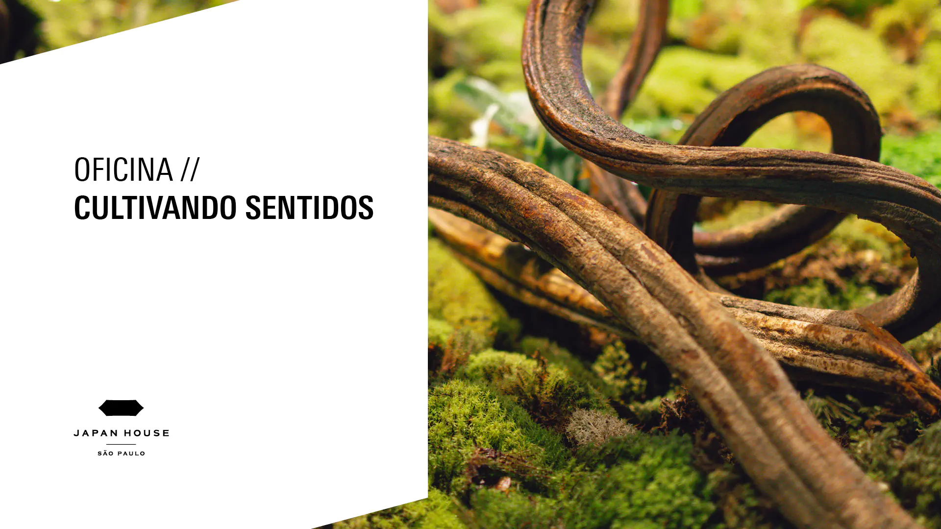 Oficina // Cultivando Sentidos