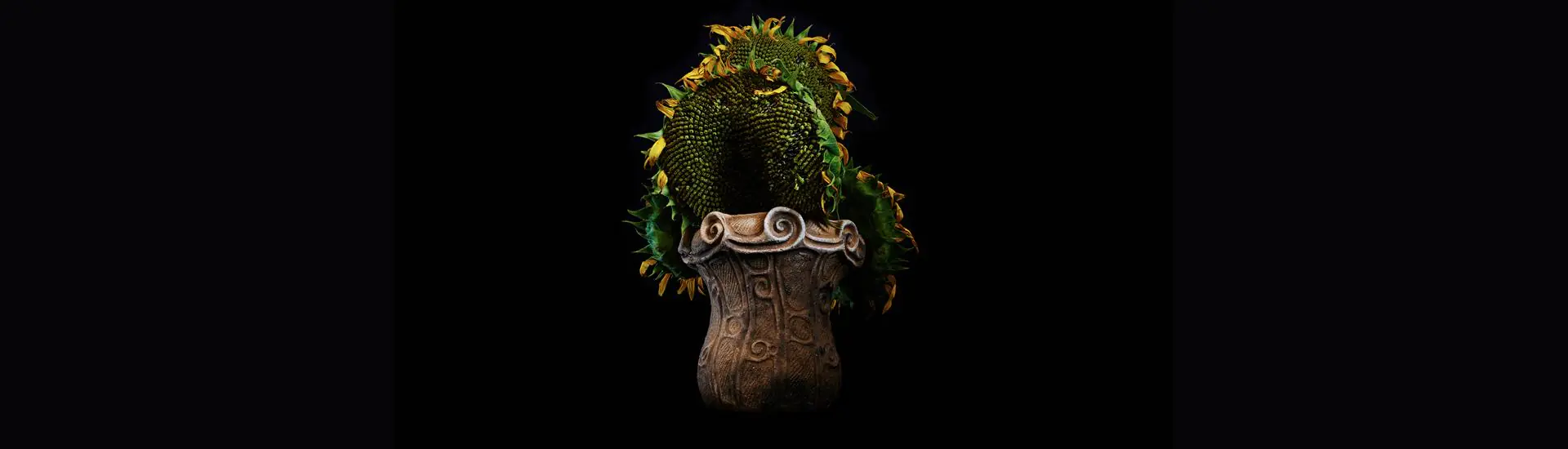 A arte da Ikebana: seu passado e presente
