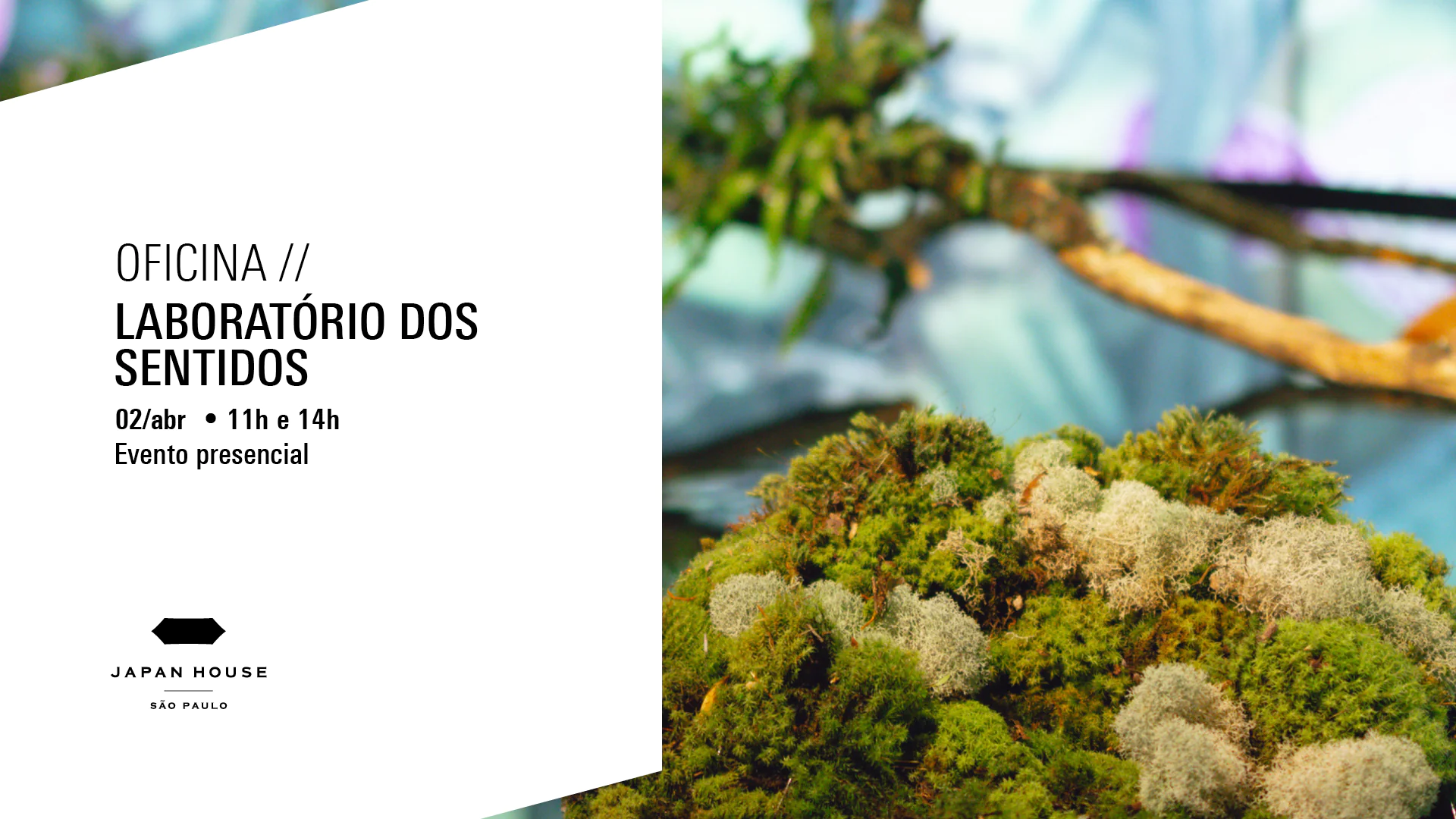 Card de divulgação de evento. À esquerda está o texto Oficina //  Laboratório dos Sentidos dia 02 de abril às 11 e 14 horas. Abaixo, está o logo da Japan House São Paulo. À direita, está a imagem de musgos, galhos e plantas parte da exposição  ‘ESSÊNCIA: Jardim Interior - Atsunobu Katagiri’.
