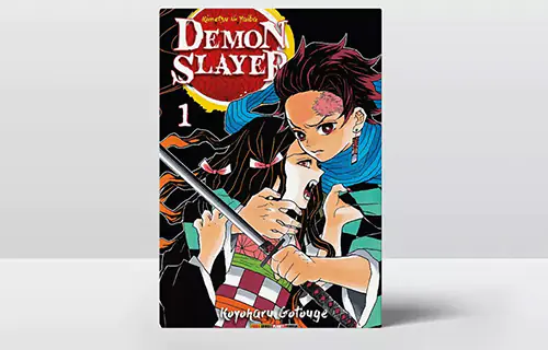  Ciclo de Mangá // Demon Slayer