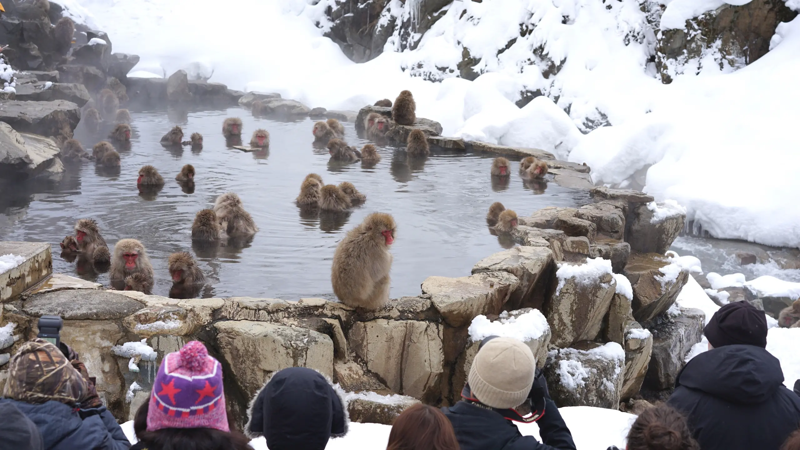 High Angle View Of People Standing By Lake Against Monkeys During Winter