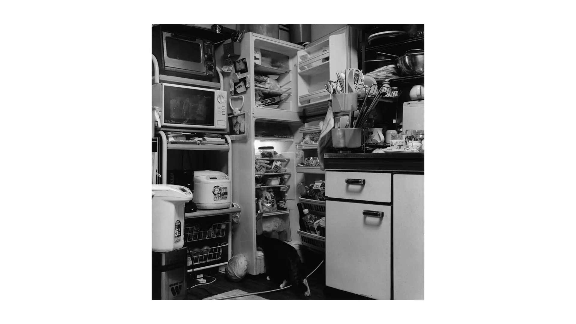 KyotoGraphie_Site17_0