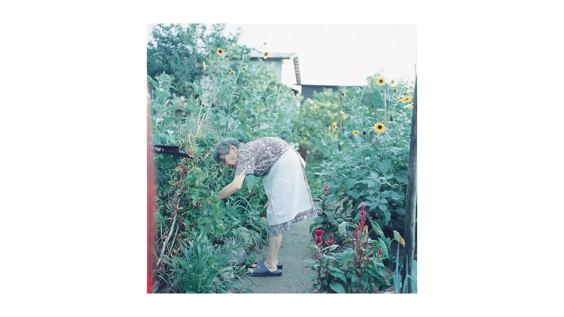 KyotoGraphie_Site6_0