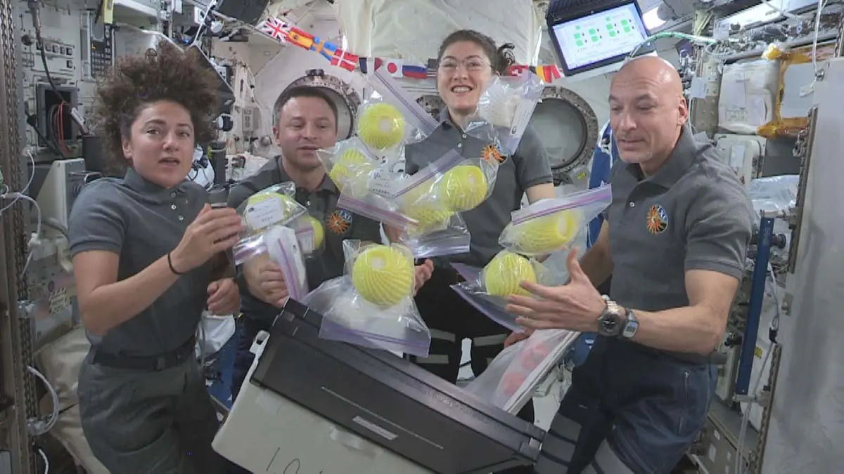 NASA-Astronauts-Jessica-Meir-Andrew-Morgan-and-Christina-Koch-and-ESA-Astronaut-Luca-Parmitano-open-a-bag-of-fresh-fruit-and-vegetables-delivered-by-the-HTV8-8Oct2019-image-JAXA-NASA