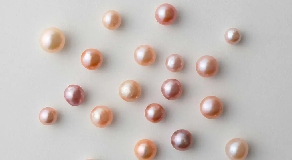 Pearl-image-1960x1080